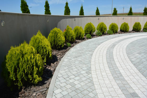 Best Custom Driveway Pavers  in Lake Holiday, IL