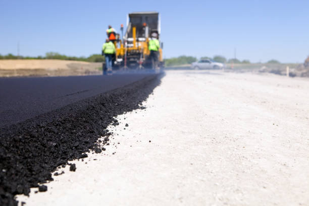 Best Driveway Paving Contractor  in Lake Holiday, IL